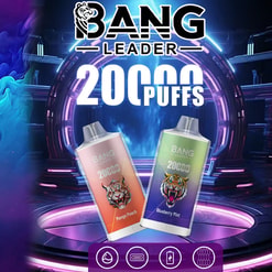 Promotional poster featuring the BANG LEADER logo and large '20000 puffs' text above two angled disposable vape devices — a peach-coloured Mango Peach and a green-to-purple Blueberry Mint — each with a roaring tiger graphic set against a neon futuristic stage with purple and blue lighting.