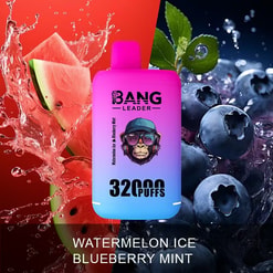 Disposable vape device in a pink-to-blue gradient labelled BANG LEADER and 32000 PUFFS, set between splashing watermelon and blueberries with mint leaves and the flavour text watermelon ice blueberry mint.