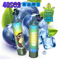 Two cylindrical iridescent disposable vape devices branded BANG KING and marked 4,000 PUFFS, one showing a cartoon monkey and a Blueberry Ice label, set in front of oversized blueberries, green leaves, ice cubes and a crown logo.