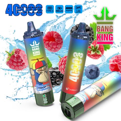 Three colourful Bang King disposable vape devices with rainbow gradient finishes and a cartoon monkey wearing a propeller hat, staged among raspberries, blackberries and blueberries with water splashes and prominent labels for 40,000 puffs, Type‑C charging and 1000mAh battery.