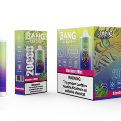 Colourful packshot of a BANG Leader disposable vape and two boxes — a single device and a larger 10‑pack — featuring a roaring tiger graphic, '20,000 puffs' and 'Blueberry Mint' flavour labels and a prominent nicotine warning.