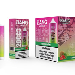 Disposable Bang Leader vape device and two product boxes in a pink-to-green gradient labelled 20,000 puffs and Strawberry Kiwi, featuring a snarling tiger logo and a visible nicotine warning panel.