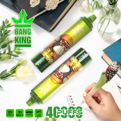 Two green Bang King disposable vape devices featuring a cartoon monkey design lie diagonally on a white desk among flowers, notebooks and a hand writing in a spiral notebook with an owl-topped pen, with '40,000 puffs' and specification icons visible.