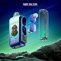 Glossy metallic-blue wireless earbuds and a matching charging case with a clear lid, floating over a rocky foreground against a teal-green gradient background, with stylised branding and the title 'MR BLUE' above.