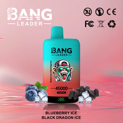 Turquoise-to-coral gradient disposable vape device labelled BANG LEADER with '45000 puffs' and flavour text 'Blueberry Ice / Black Dragon Ice', displayed on a glossy pink surface with blueberries, dark berries and ice cubes in front and certification icons at the top right.