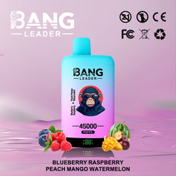 Turquoise-to-pink gradient disposable vape device branded BANG LEADER with '45000 puffs' and an LED battery percentage, surrounded by blueberries, raspberries, mango, peach and watermelon illustrations on a pastel pink background with certification icons.