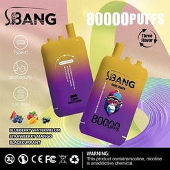 Two gradient yellow-to-purple S.BANG disposable vape devices labelled “Bang Leader” and “80000 PUFFS” on a colourful swirl background, with icons for Type‑C charging, 80,000 puffs and dual mesh, listed flavours Blueberry Watermelon, Strawberry Mango and Blackcurrant, and regulatory symbols plus a nicotine warning.
