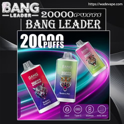 Plakat promocyjny jednorazowych waporyzatorów Bang Leader o pojemności 20 000 zaciągnięć, przedstawiający trzy kolorowe, prostokątne urządzenia z logo ryczącego tygrysa i etykietami smakowymi (Blueberry Raspberry, Blueberry Mint, Strawberry Kiwi) na tle neonowofioletowego i turkusowego wiru, z logo marki, adresem URL strony internetowej i ikonami funkcji dla pojemności 28 ml, typu C, 650 mAh i podwójnej siatki.