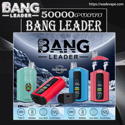 Advertisement for Bang Leader disposable vapes showing red, blue and teal devices in front of a moonlit icy landscape with a '50,000 puffs' headline, a double-flavour icon, device screens and mouthpieces, feature icons (Type‑C, 650 mAh, dual mesh, adjustable) and a website URL.