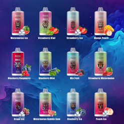 Grid of twelve colourful BANG 20000 disposable vape devices arranged in three rows against a blue‑purple swirling background, each labelled with a fruit flavour and illustration — Watermelon Ice, Strawberry Kiwi, Strawberry Ice, Mango Peach, Blueberry Raspberry, Blueberry Mint, Mix Fruit, Strawberry Watermelon, Grape Ice, Watermelon Bubble Gum, Blueberry Ice and Peach Ice.