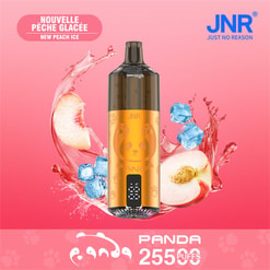 jnr panda 25500 puffs original genuine jnr panda 25.5k disposable vape refillable oil led display type c charging port customizable. fast shipping