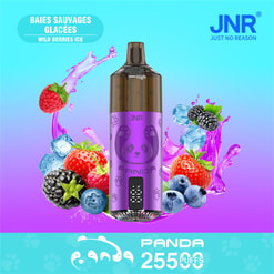 jnr panda 25500 puffs original genuine jnr panda 25.5k disposable vape refillable oil led display type c charging port customizable. fast shipping