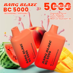 bang blaze bc 5000 zaciągnięć oryginalne bang blaze 5k zaciągnięć vape typu c jednorazowe e-papierosy z możliwością dostosowania. szybka wysyłka