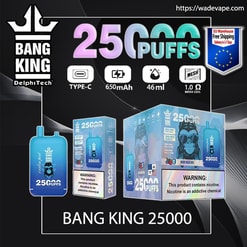 bang king 25000 puffs original bang king 25k vape puffs led e liquid battery display free shipping from eu warehouse