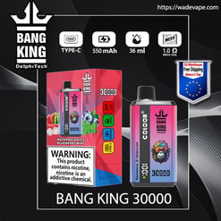 bang king 30000 puffs original bang king 2in1 30k vape led e liquid battery display free shipping from eu warehouse