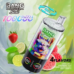 bang leader 100.000 trekjes originele bang leader 100k 4 smaken in 1 vape led-display type c poort wegwerpbare e-sigaretten aanpasbaar. snelle verzending