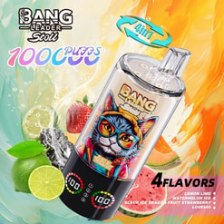 bang leader 100.000 trekjes originele bang leader 100k 4 smaken in 1 vape led-display type c poort wegwerpbare e-sigaretten aanpasbaar. snelle verzending