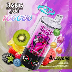 bang leader 100.000 trekjes originele bang leader 100k 4 smaken in 1 vape led-display type c poort wegwerpbare e-sigaretten aanpasbaar. snelle verzending