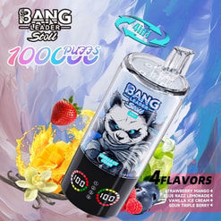 bang leader 100.000 trekjes originele bang leader 100k 4 smaken in 1 vape led-display type c poort wegwerpbare e-sigaretten aanpasbaar. snelle verzending