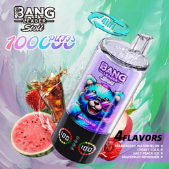 bang leader 100.000 trekjes originele bang leader 100k 4 smaken in 1 vape led-display type c poort wegwerpbare e-sigaretten aanpasbaar. snelle verzending