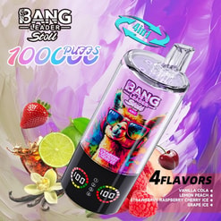 bang leader 100.000 trekjes originele bang leader 100k 4 smaken in 1 vape led-display type c poort wegwerpbare e-sigaretten aanpasbaar. snelle verzending