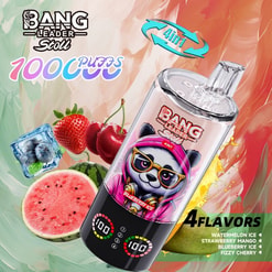 bang leader 100.000 trekjes originele bang leader 100k 4 smaken in 1 vape led-display type c poort wegwerpbare e-sigaretten aanpasbaar. snelle verzending