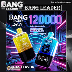 bang lider 120000 zaciągnięć oryginalny bang lider 120 tys. podwójnych smaków vape wyświetlacz led typu c port jednorazowe e-papierosy z możliwością dostosowania. szybka wysyłka