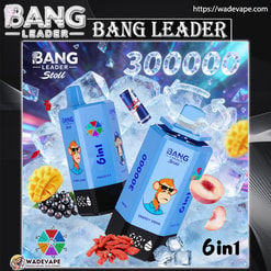 BANG LEADER 300000 パフ オリジナル Bang Leader Stoll 300K 6
