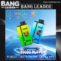 Bang Leader 30000 zaciągnięć oryginalny Bang Leader 30k vape o podwójnym smaku, wyświetlacz LED typu C, jednorazowe e-papierosy z możliwością dostosowania. szybka wysyłka