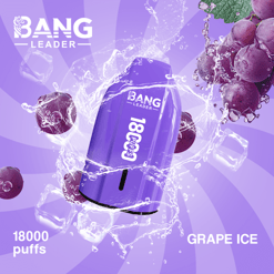 bang leader 18000 puffs original bang leader 18k vape type c port disposable e cigarettes customizable. fast shipping