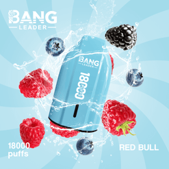 bang leader 18000 puffs original bang leader 18k vape type c port disposable e cigarettes customizable. fast shipping