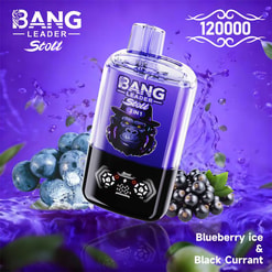 bang leader 120000 trekjes originele bang leader 120k dubbele smaken vape led display type c poort wegwerpbare e-sigaretten aanpasbaar. snelle verzending