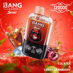 bang leader 120000 trekjes originele bang leader 120k dubbele smaken vape led display type c poort wegwerpbare e-sigaretten aanpasbaar. snelle verzending