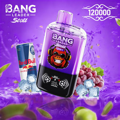 bang leader 120000 trekjes originele bang leader 120k dubbele smaken vape led display type c poort wegwerpbare e-sigaretten aanpasbaar. snelle verzending