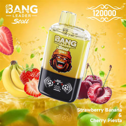 bang leader 120000 trekjes originele bang leader 120k dubbele smaken vape led display type c poort wegwerpbare e-sigaretten aanpasbaar. snelle verzending