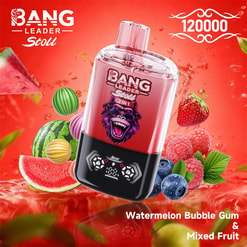 bang leader 120000 trekjes originele bang leader 120k dubbele smaken vape led display type c poort wegwerpbare e-sigaretten aanpasbaar. snelle verzending