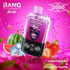 bang leader 120000 trekjes originele bang leader 120k dubbele smaken vape led display type c poort wegwerpbare e-sigaretten aanpasbaar. snelle verzending