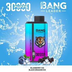 Bang Leader 30000 zaciągnięć oryginalny Bang Leader 30k vape o podwójnym smaku, wyświetlacz LED typu C, jednorazowe e-papierosy z możliwością dostosowania. szybka wysyłka