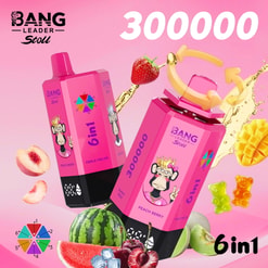 bang leader 300000 trekjes originele bang leader stoll 300k 6 smaken in 1 vape led display type c poort wegwerp e sigaretten aanpasbare snelle verzending