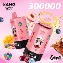 bang leader 300000 trekjes originele bang leader stoll 300k 6 smaken in 1 vape led display type c poort wegwerp e sigaretten aanpasbare snelle verzending