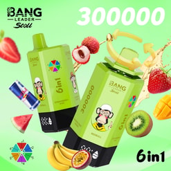 bang leader 300000 trekjes originele bang leader stoll 300k 6 smaken in 1 vape led display type c poort wegwerp e sigaretten aanpasbare snelle verzending