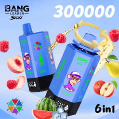 bang leader 300000 trekjes originele bang leader stoll 300k 6 smaken in 1 vape led display type c poort wegwerp e sigaretten aanpasbare snelle verzending