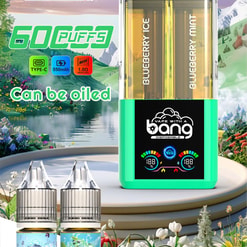 bang 60000 trekjes originele bang 2in1 60k kan worden gevuld met e-vloeistofvape led-display wegwerp-e-sigaretten aanpasbaar. snelle verzending