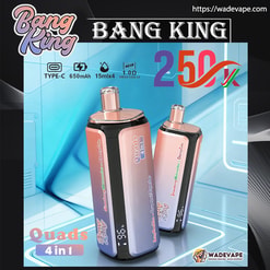 bang king 250000 soezen originele bang king 4in1 250k vape led display type c poort wegwerp e sigaretten aanpasbare snelle verzending