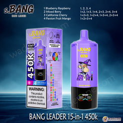 Bang Leader Jednorazowy waporyzator 15 w 1 450 tys. | inteligentny wyświetlacz typu c port | regulowany 4-stopniowy waporyzator lodowy | podwójny tryb waporyzator z zasysaniem ust/płuc