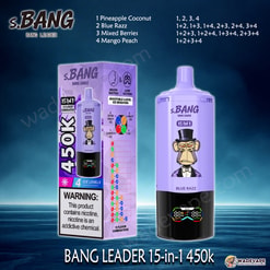 Bang Leader Jednorazowy waporyzator 15 w 1 450 tys. | inteligentny wyświetlacz typu c port | regulowany 4-stopniowy waporyzator lodowy | podwójny tryb waporyzator z zasysaniem ust/płuc