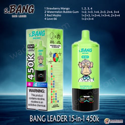 Bang Leader Jednorazowy waporyzator 15 w 1 450 tys. | inteligentny wyświetlacz typu c port | regulowany 4-stopniowy waporyzator lodowy | podwójny tryb waporyzator z zasysaniem ust/płuc