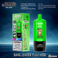 Bang Leader Jednorazowy waporyzator 15 w 1 450 tys. | inteligentny wyświetlacz typu c port | regulowany 4-stopniowy waporyzator lodowy | podwójny tryb waporyzator z zasysaniem ust/płuc