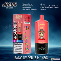 Bang Leader Jednorazowy waporyzator 15 w 1 450 tys. | inteligentny wyświetlacz typu c port | regulowany 4-stopniowy waporyzator lodowy | podwójny tryb waporyzator z zasysaniem ust/płuc