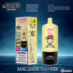 Bang Leader Jednorazowy waporyzator 15 w 1 450 tys. | inteligentny wyświetlacz typu c port | regulowany 4-stopniowy waporyzator lodowy | podwójny tryb waporyzator z zasysaniem ust/płuc
